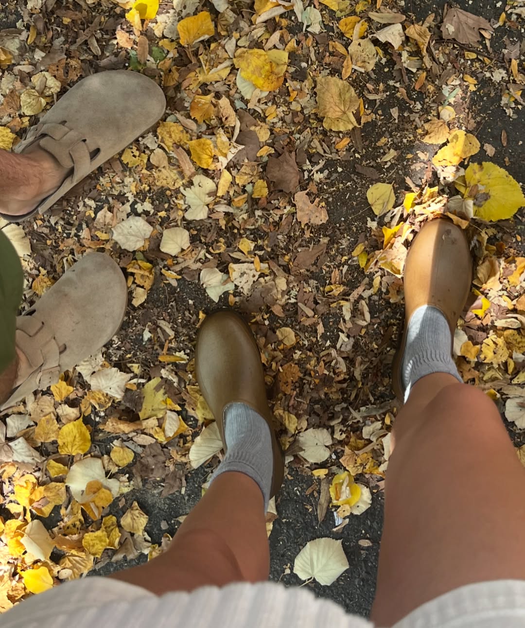 SaveClip.App 460980133 503520319148666 2278704465863989384 n