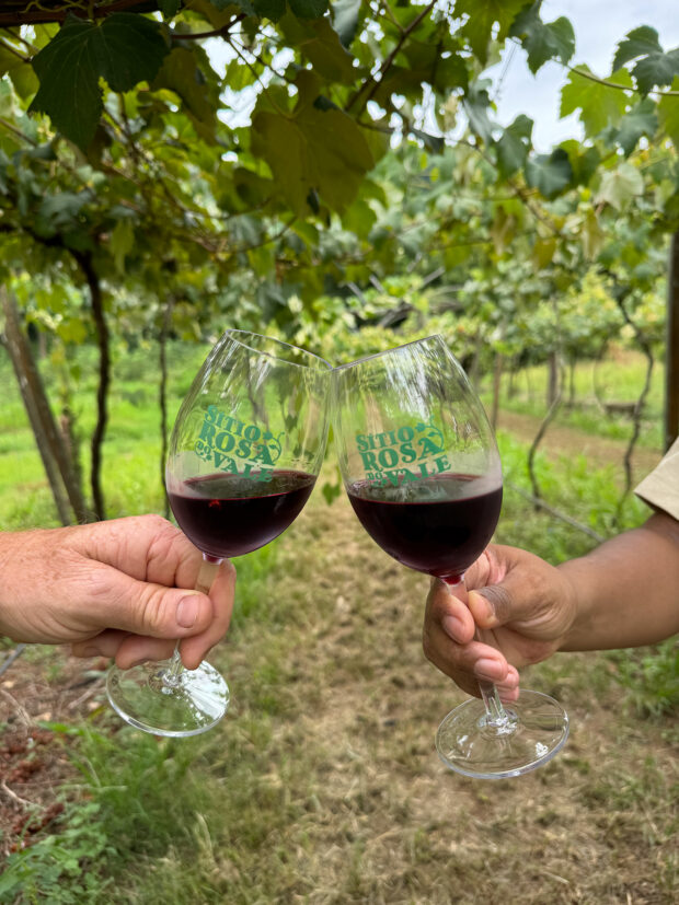 afroturismo no mundo do vinho