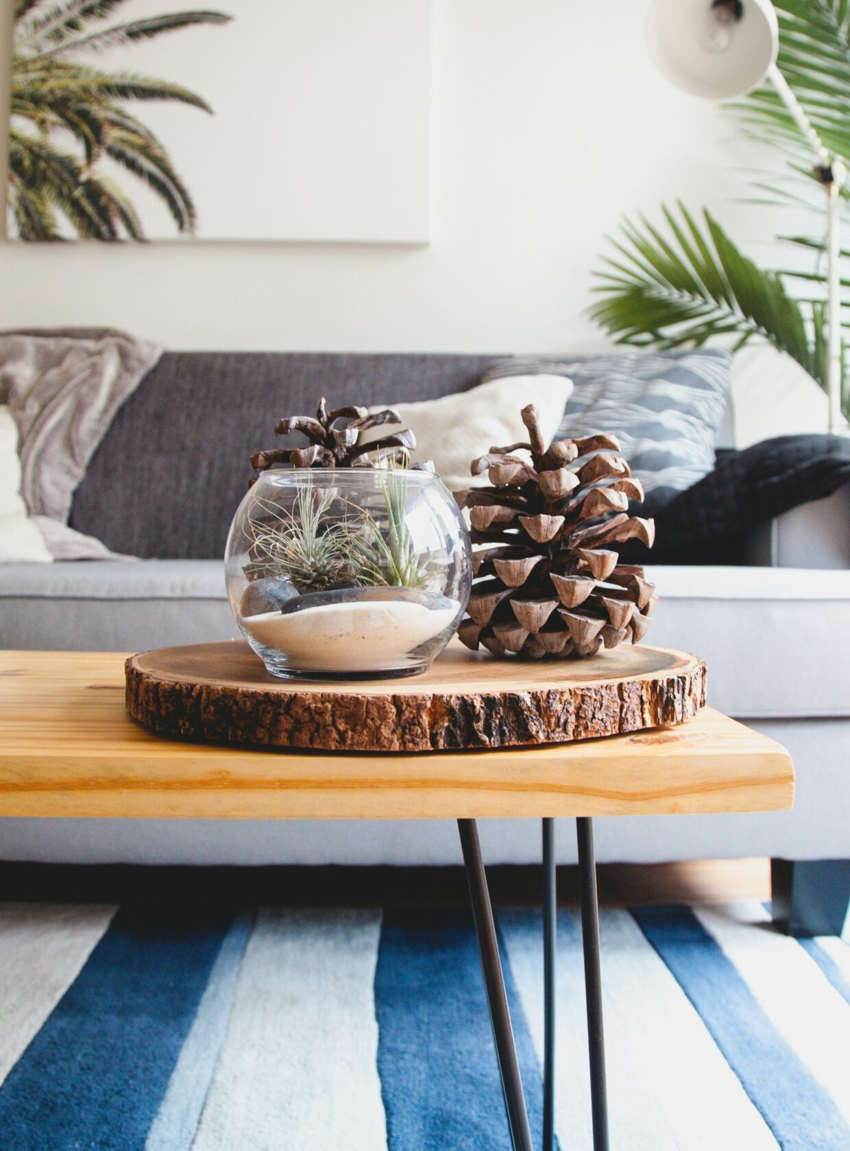 casa limpa e organizada