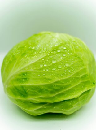 ibuki tsubo 7iRMOXXxH7c unsplash