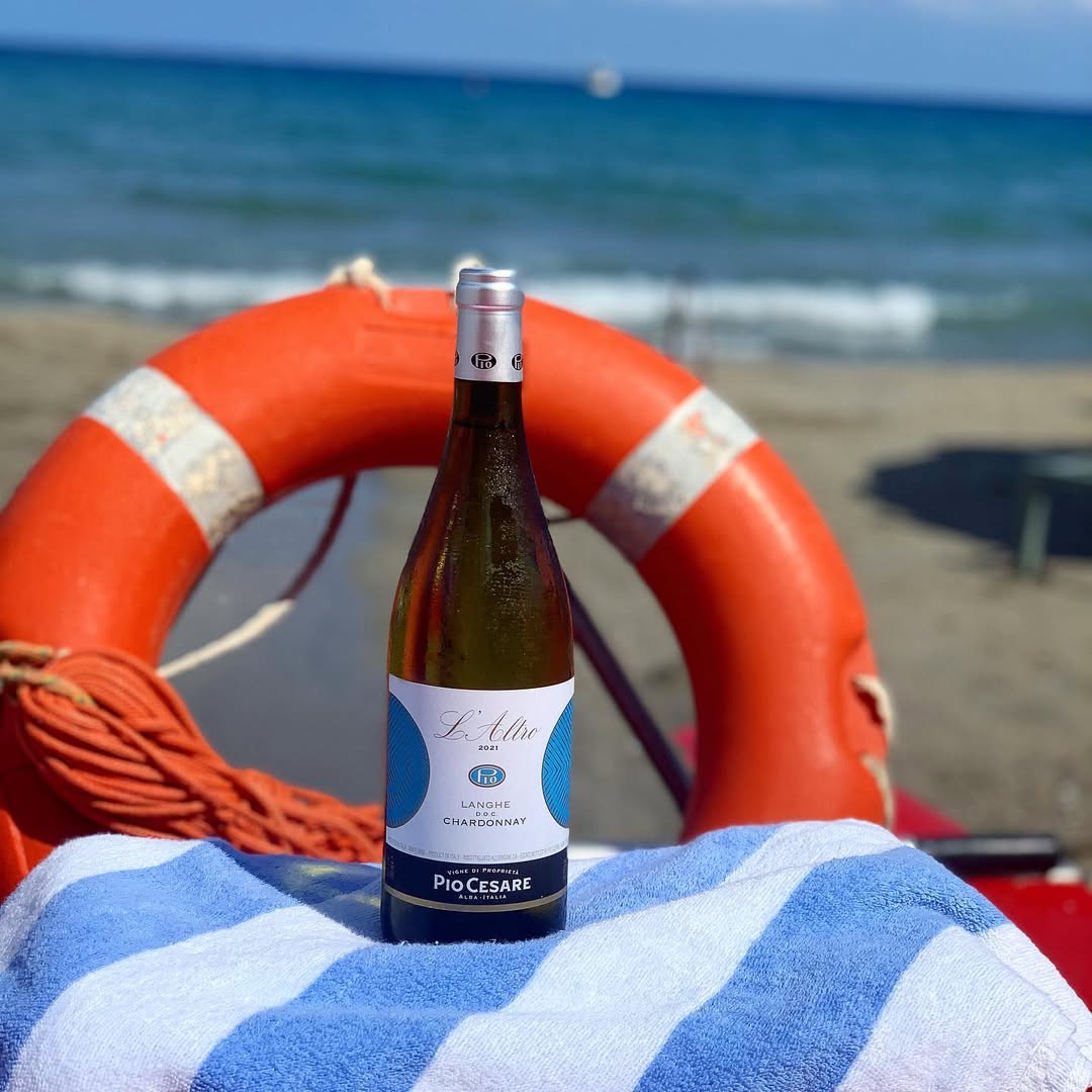 Tudo o que você precisa saber sobre o vinho Chardonnay italia pio cessare laltro 01