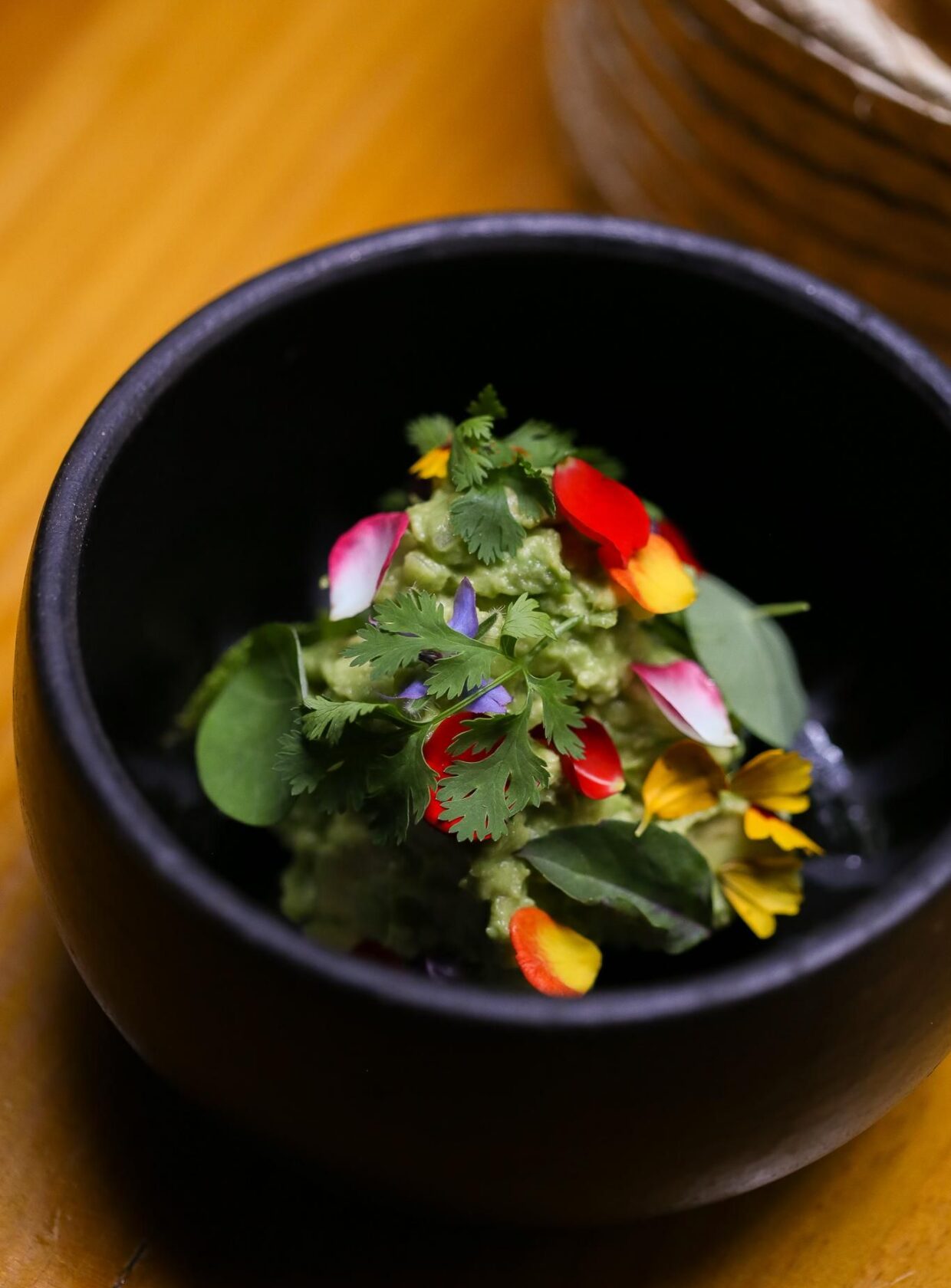 5 receitas salgadas com abacate para inovar na cozinha