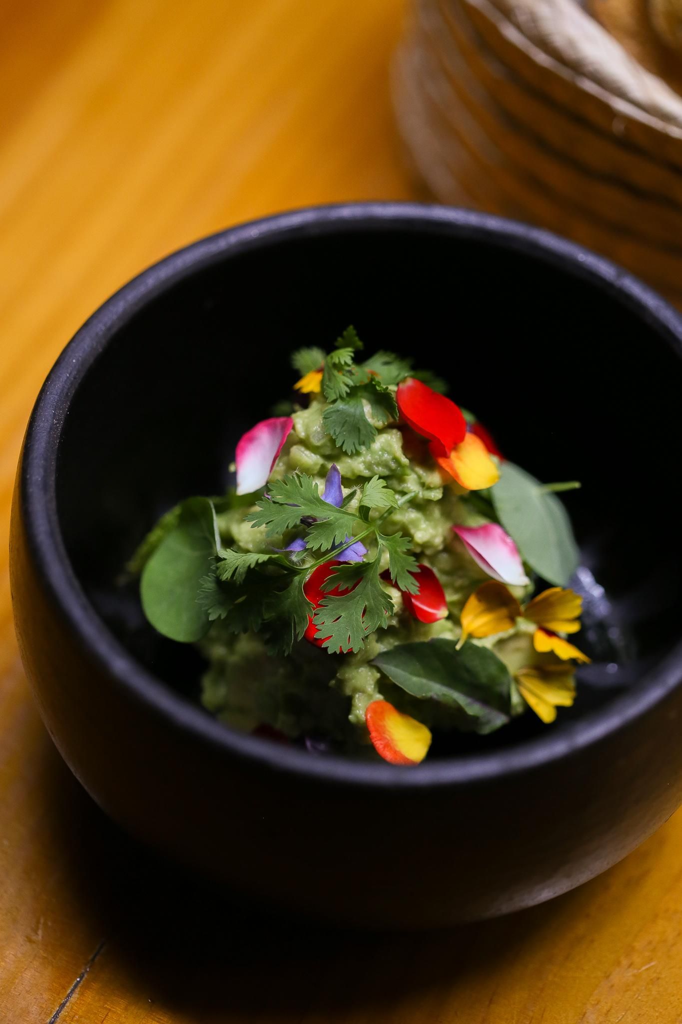 5 receitas salgadas com abacate para inovar na cozinha