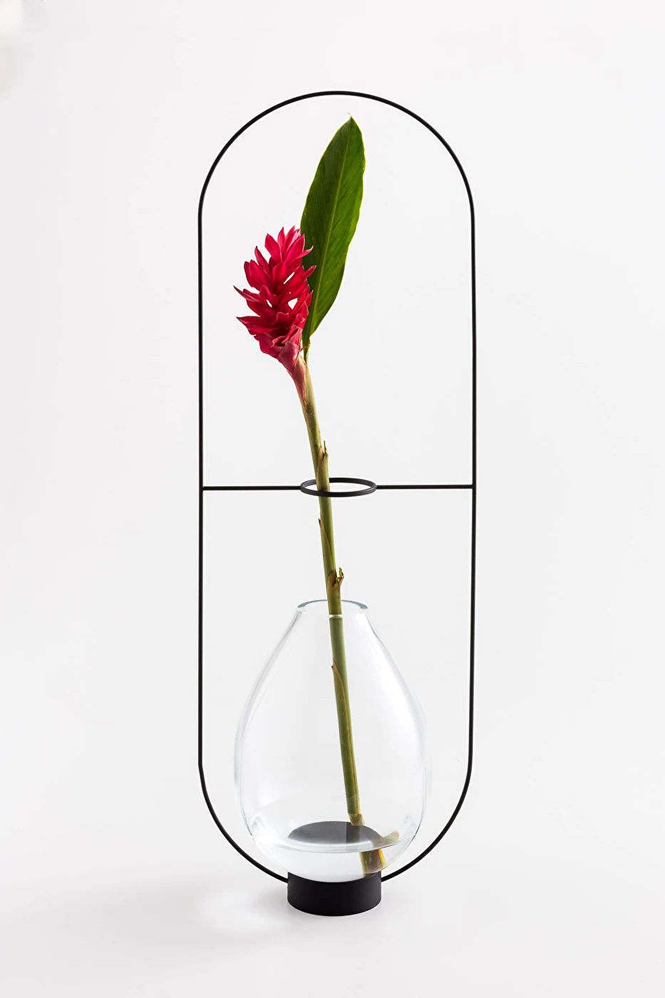 Vasos de vidro para decoração