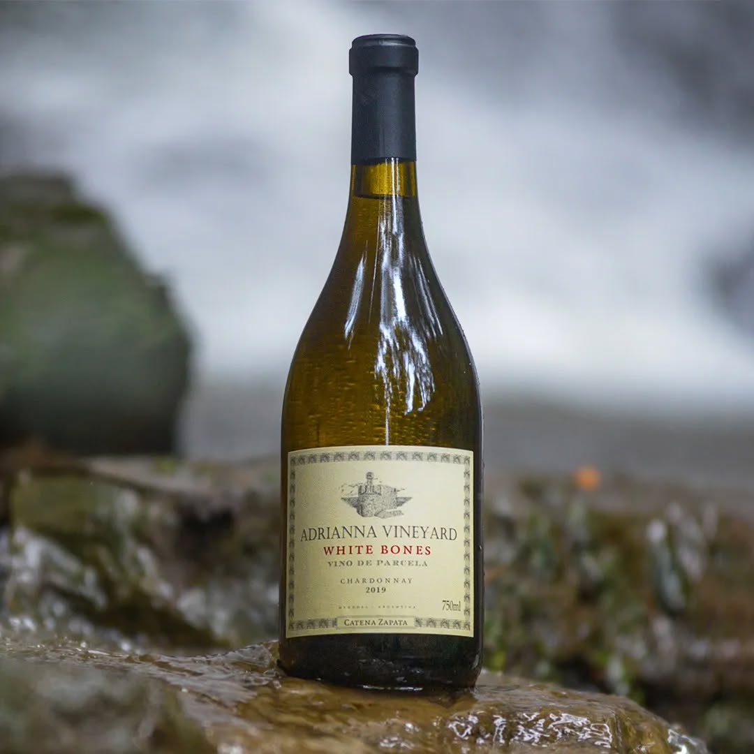 Tudo o que você precisa saber sobre o vinho Chardonnay vinho chardonnay argentina catena zapata white bones 02