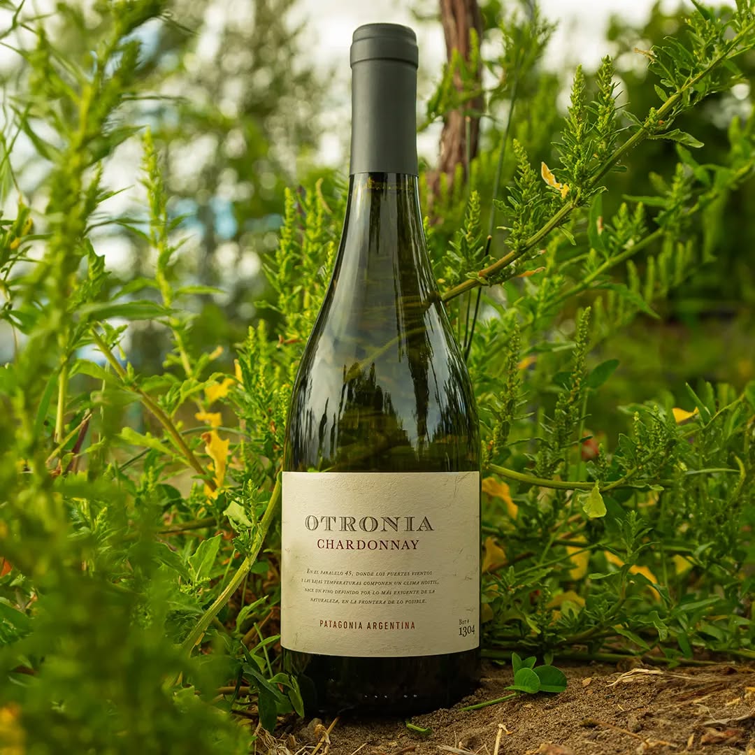 Tudo o que você precisa saber sobre o vinho Chardonnay vinho chardonnay argentina otronia chardonnay 01