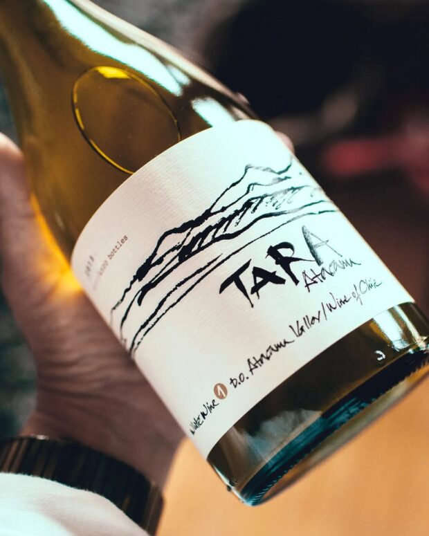 Tudo o que você precisa saber sobre o vinho Chardonnay vinho chardonnay chile ventisquero tara atacama chardonnay 01