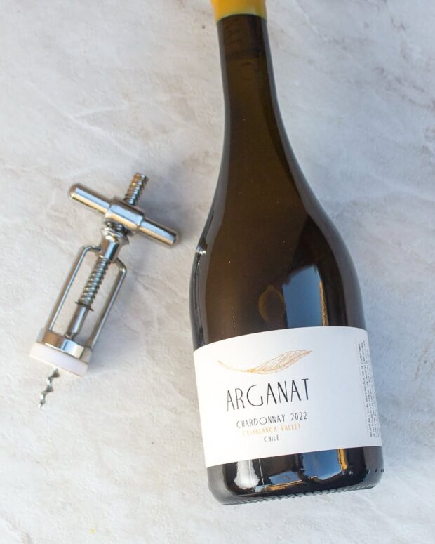 Tudo o que você precisa saber sobre o vinho Chardonnay vinho chardonnay chile villard arganat chardonnay 01