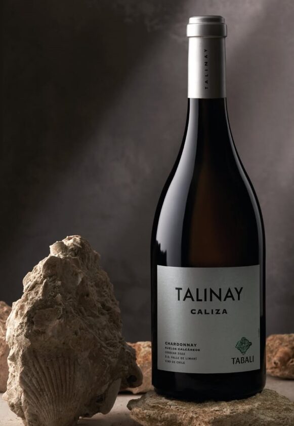 Tudo o que você precisa saber sobre o vinho Chardonnay vinho chardonnay chine tabali talinay caliza 01