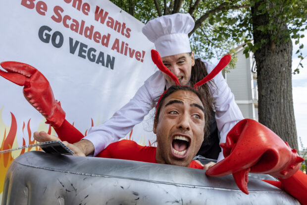 A tragédia ética do prazer gastronômico ética alimentar