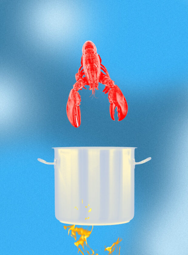 A tragédia ética do prazer gastronômico etica do prazer gastronomico