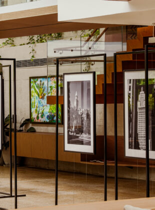 Fotógrafo João Rocha