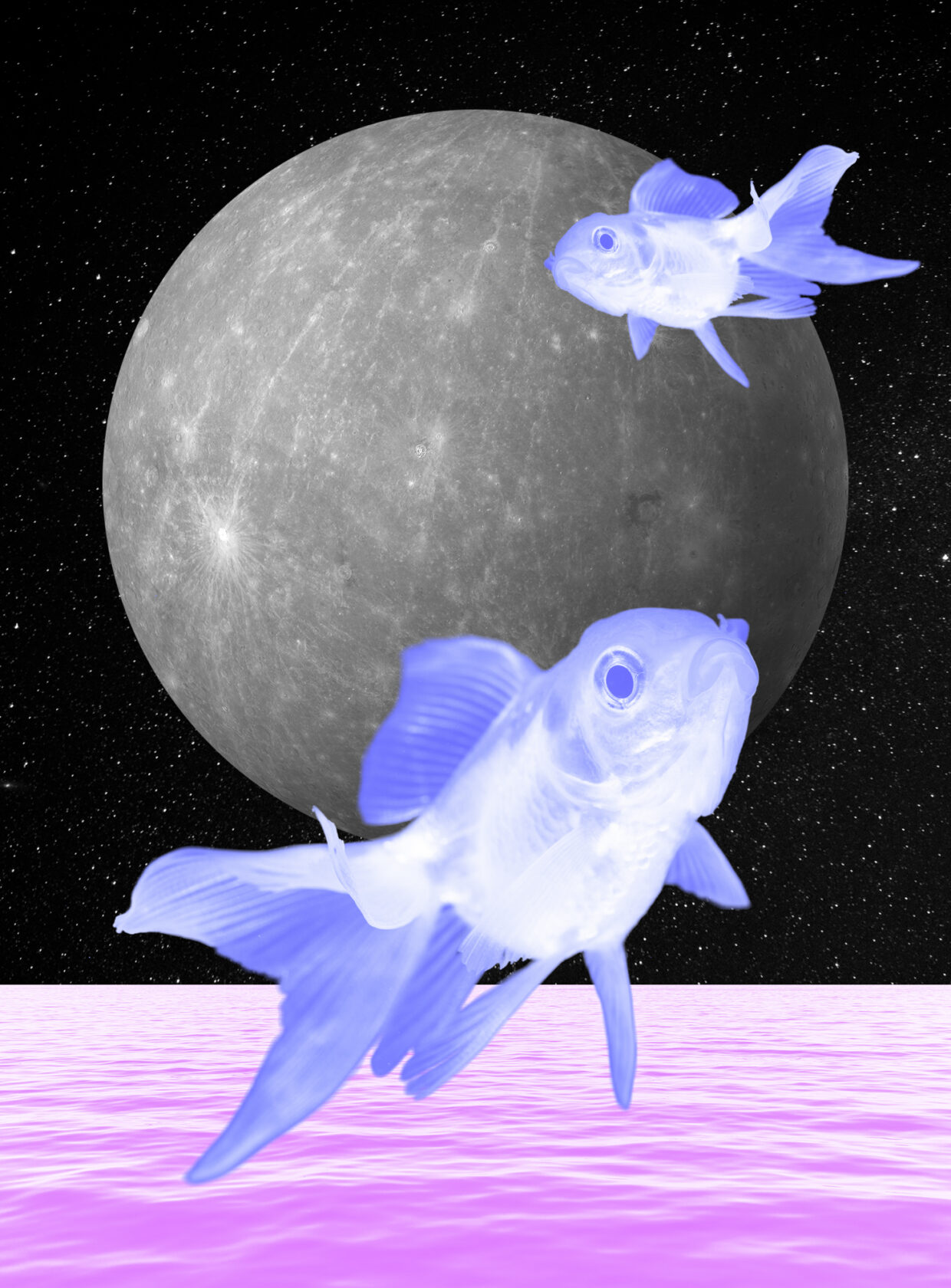 mercúrio retrógrado em peixes