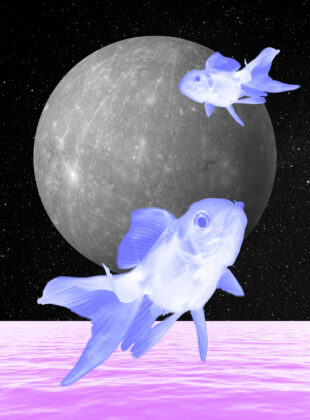 Mercúrio retrógrado em Peixes: as datas-chave para uma revisão profunda de sua vida e seus relacionamentos mercúrio retrógrado em peixes