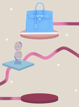 plagio ezgif.com video to gif converter