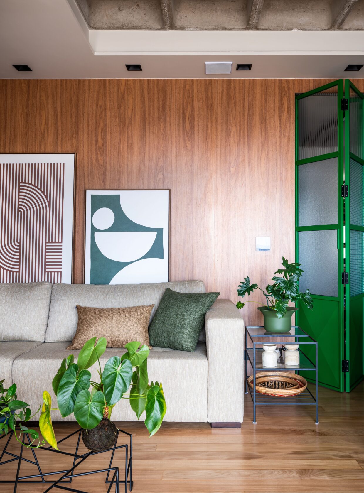 Plantas decorativas para casa: 7 dicas para acertar na escolha