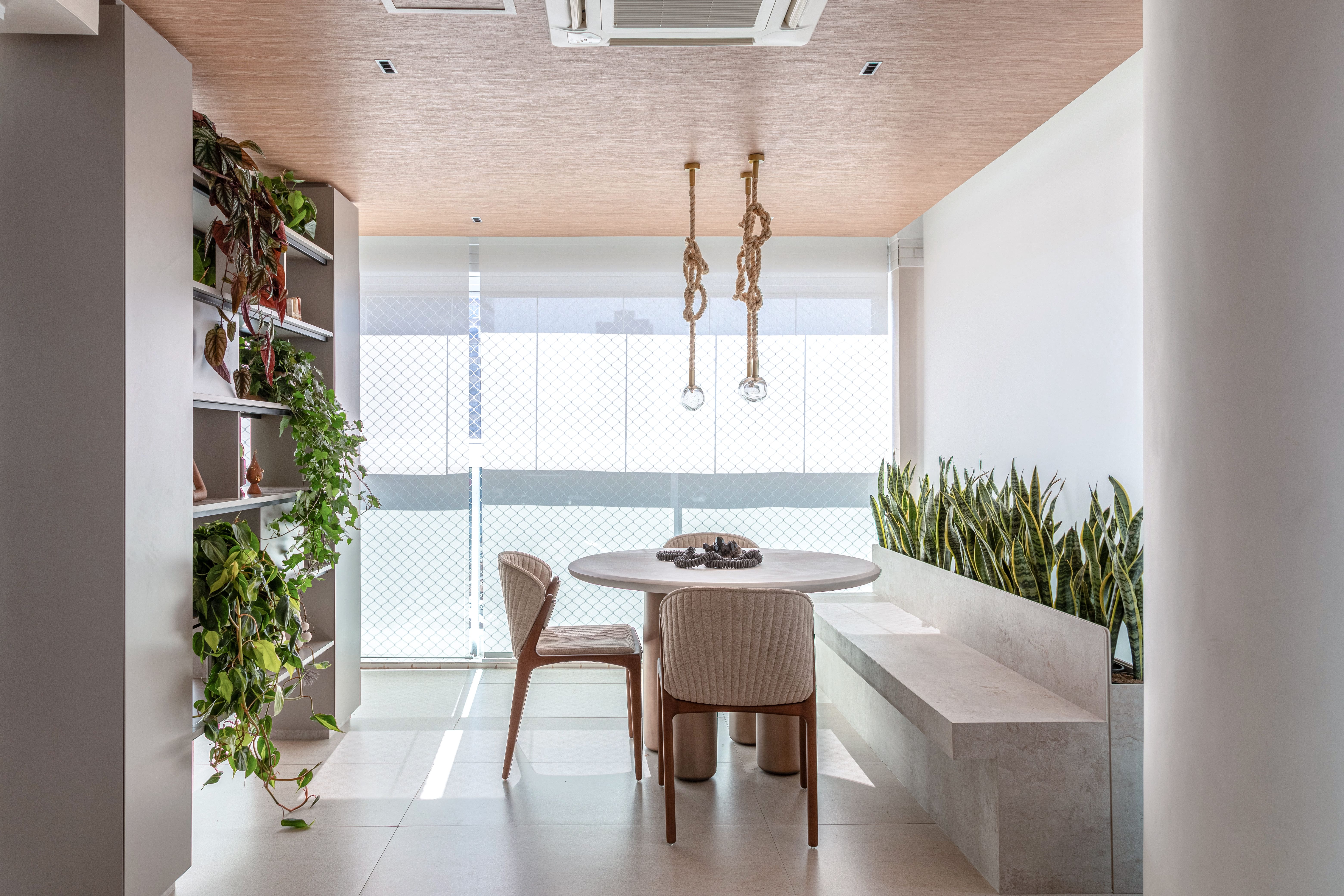 Plantas decorativas para casa: 7 dicas para acertar na escolha