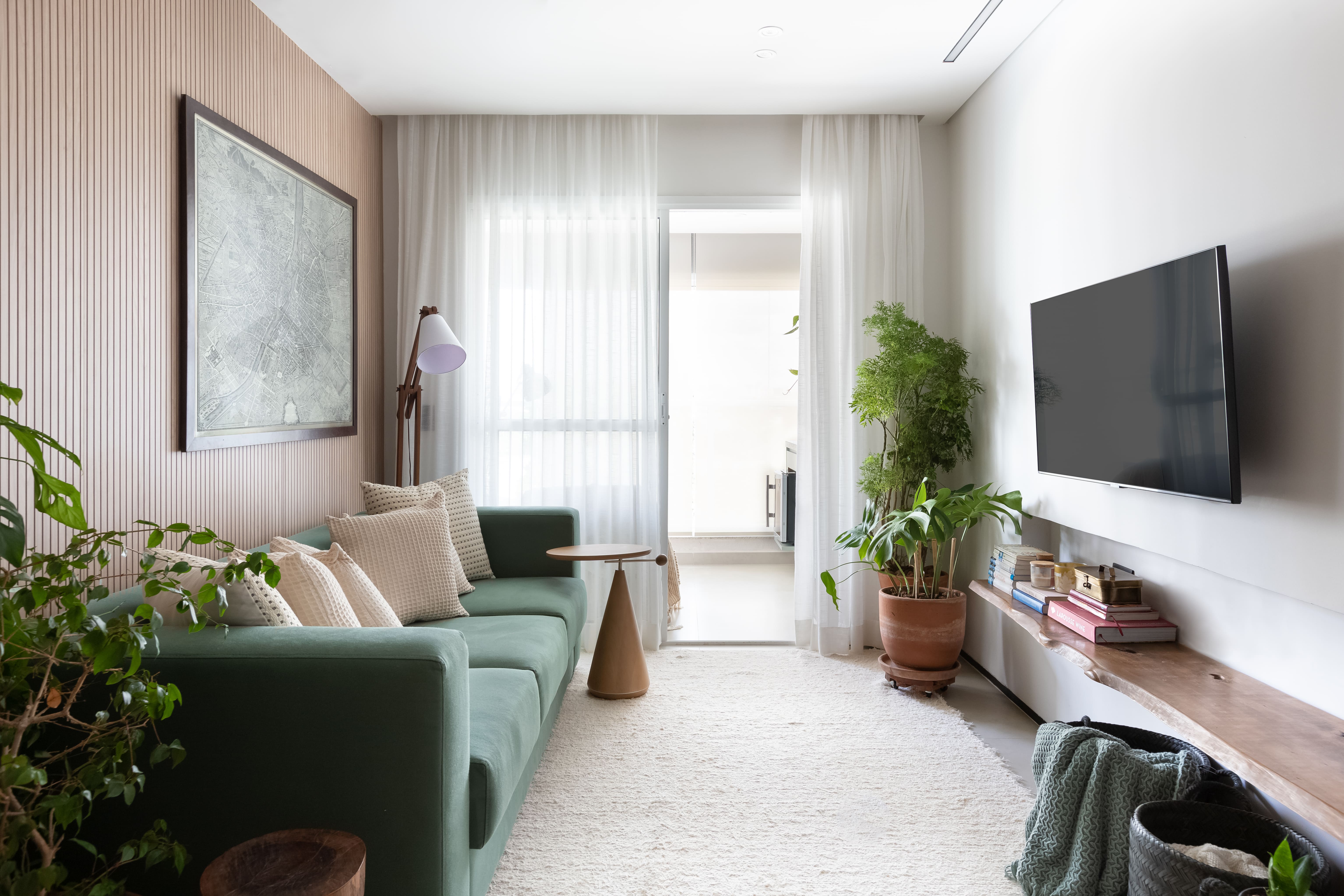 Plantas decorativas para casa: 7 dicas para acertar na escolha