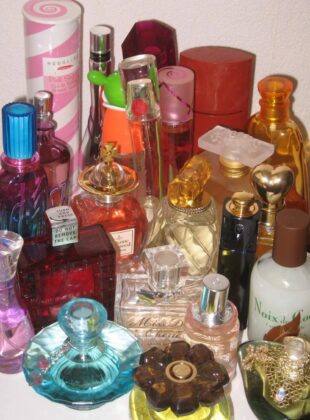 Estes são os perfumes favoritos da redação da ELLE Brasil SaveClip.App 491898399 18026427851657898 8644611454335454910 n 1