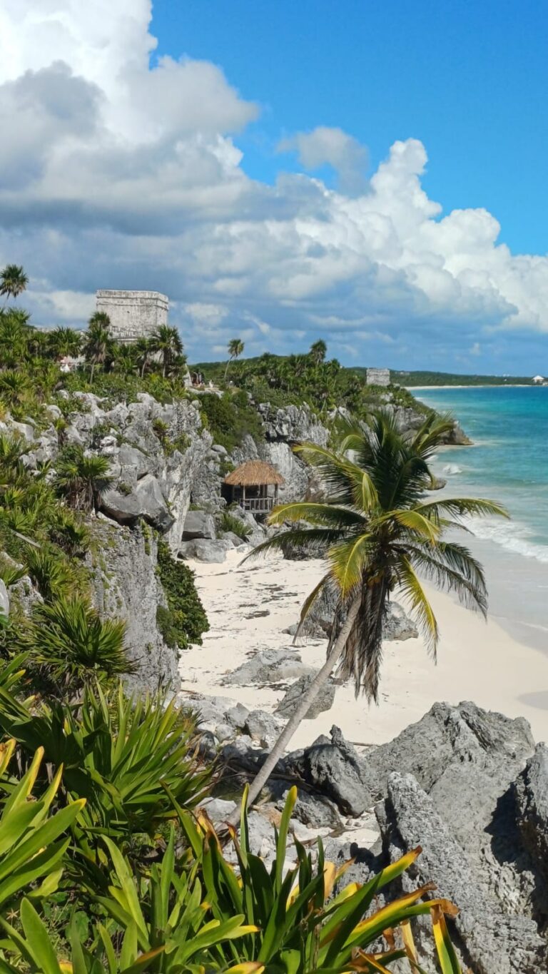 WhatsApp Image 2026 03 31 at 13.01.52