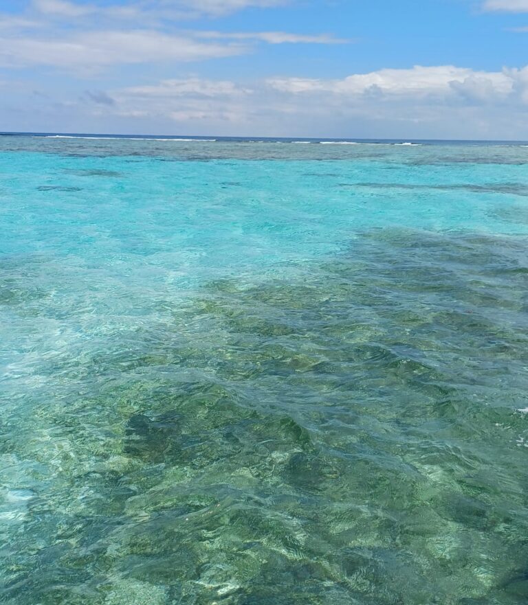 WhatsApp Image 2026 03 31 at 13.31.29