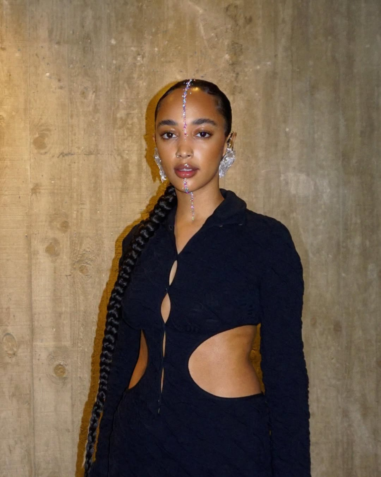 6 penteados simples com tranças que vão atualizar seu visual do dia a dia penteados simples com tranças