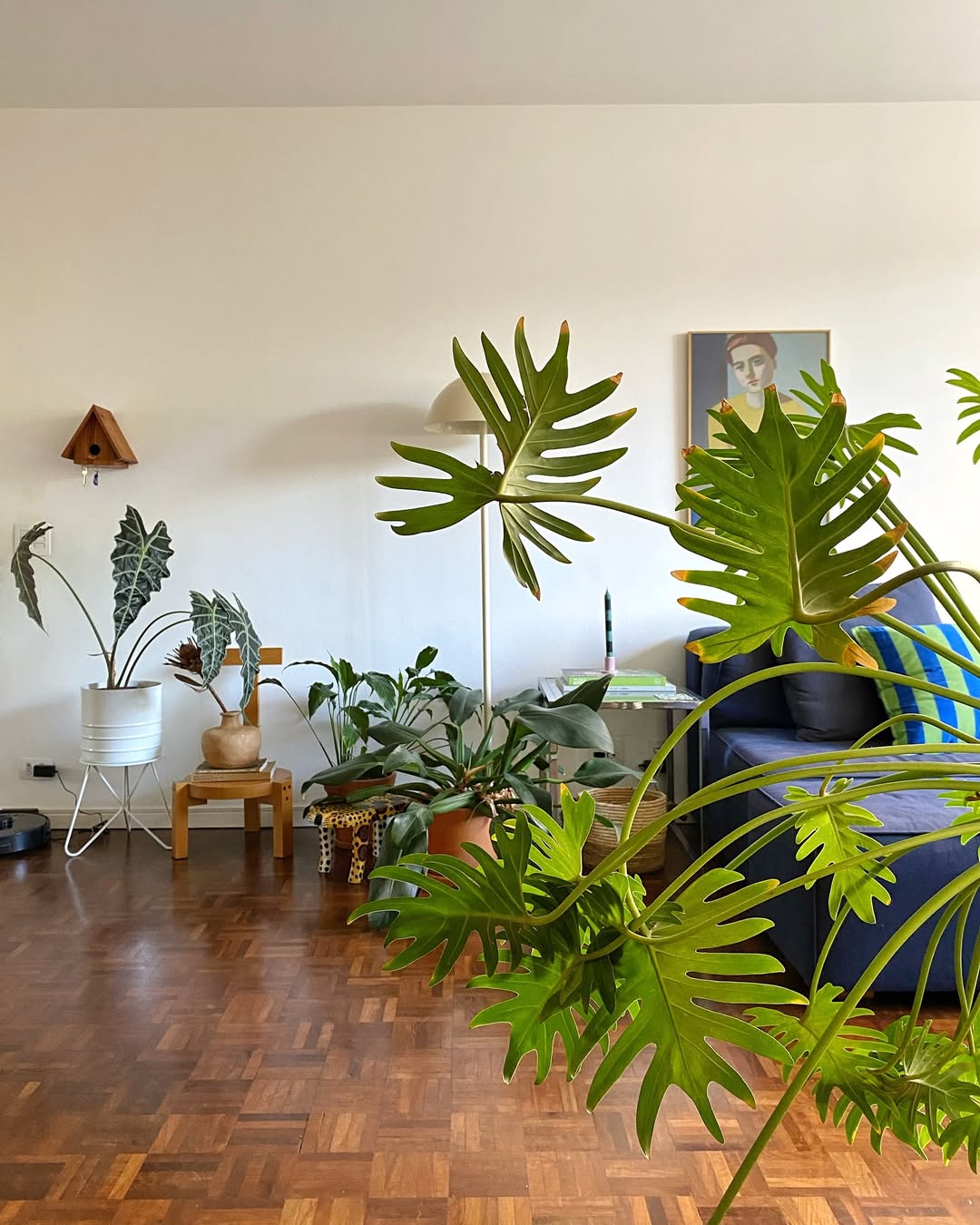 5 plantas grandes e decorativas que você pode criar dentro de casa