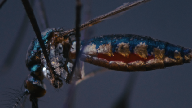 exposições em são paulo