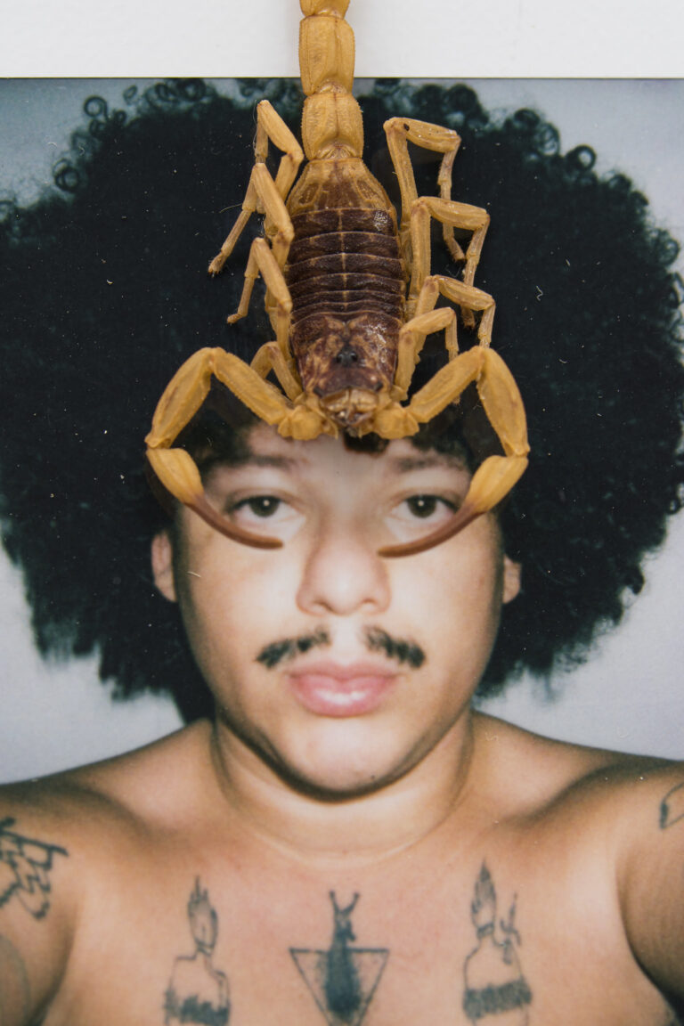 Exposições em São Paulo