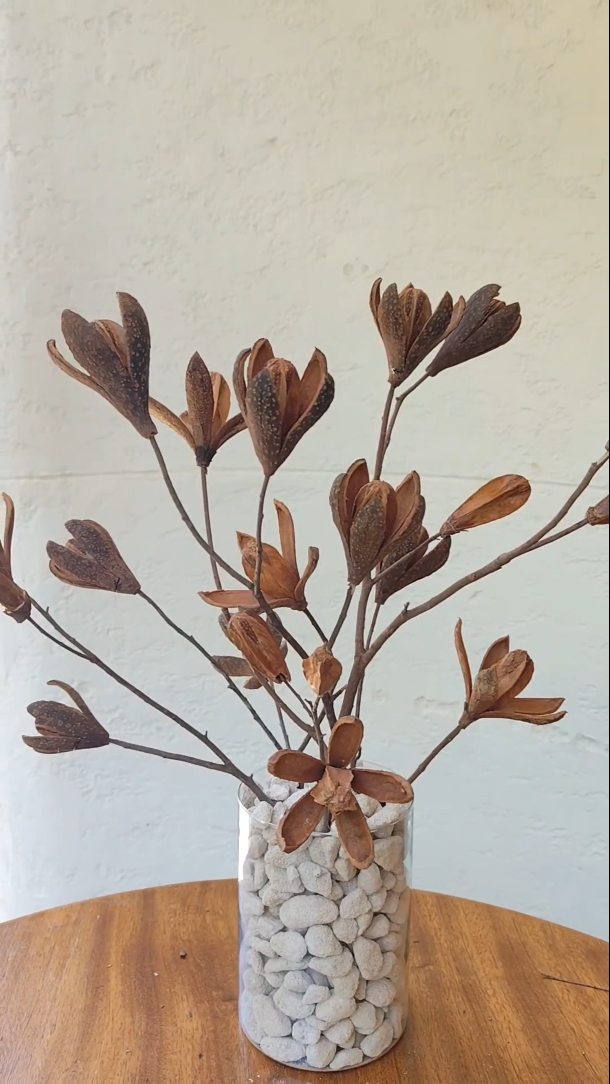 5 plantas para o banheiro que decoram e vivem bem no ambiente