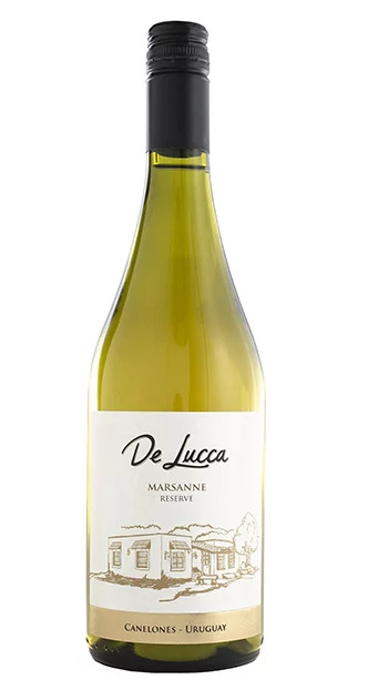 Para acertar no brinde: especialista indica 5 vinhos brancos bons e baratos