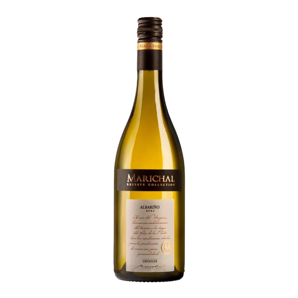 Para acertar no brinde: especialista indica 5 vinhos brancos bons e baratos