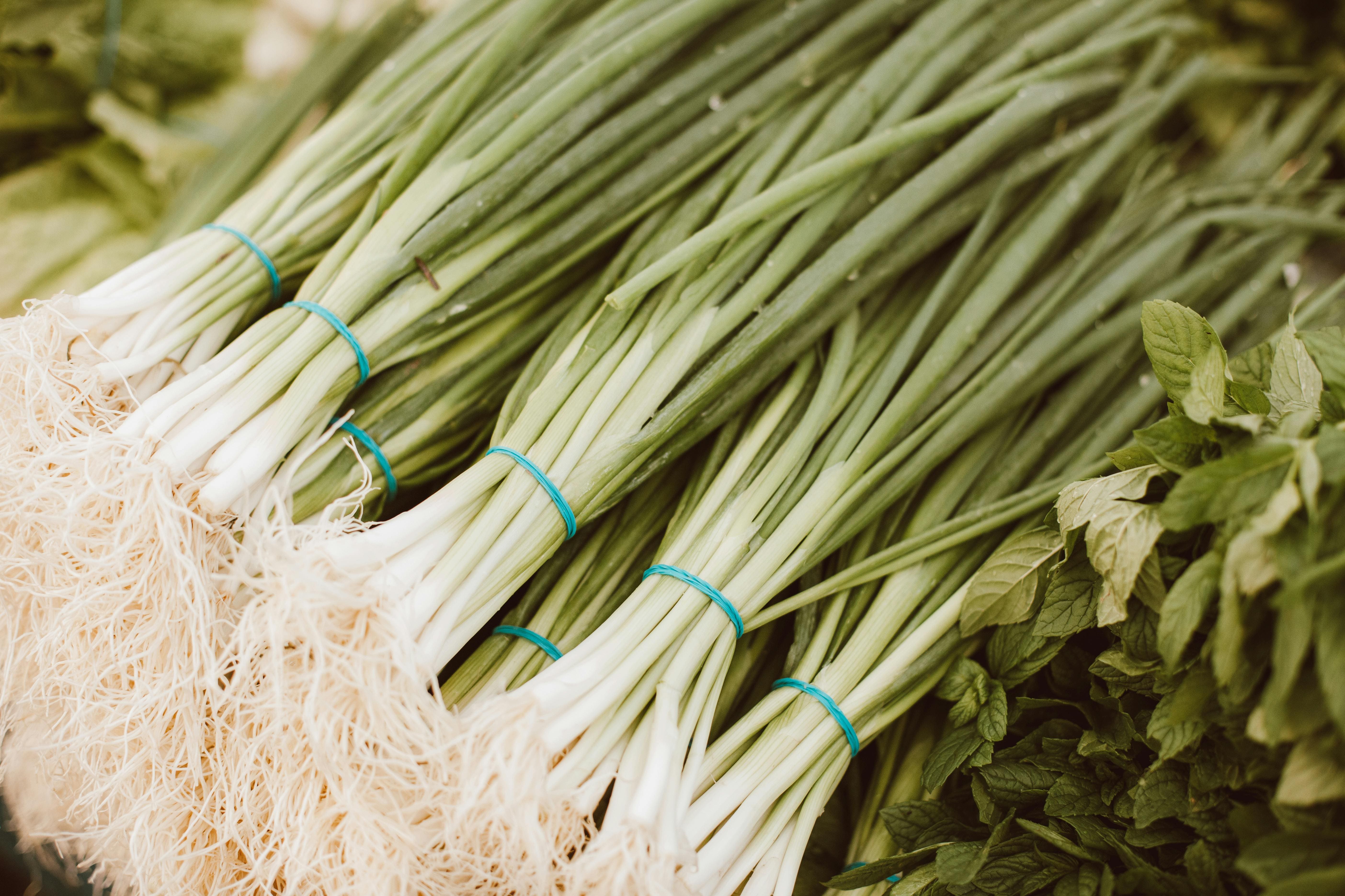 horta em casa, horta doméstica, ervas em casa, ervas aromáticas, plantas para apartamento, jardim em apartamento, ervas na cozinha, jardinagem, jardinagem em apartamento, plantas para janela ensolarada, alecrim, tomilho, orégano, hortelã, cebolinha, salsinha, lavanda, cultivo em vasos, horta em apartamento, plantas aromáticas, temperos frescos