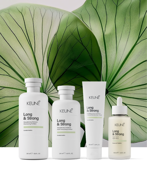 Lançamentos de beleza de junho