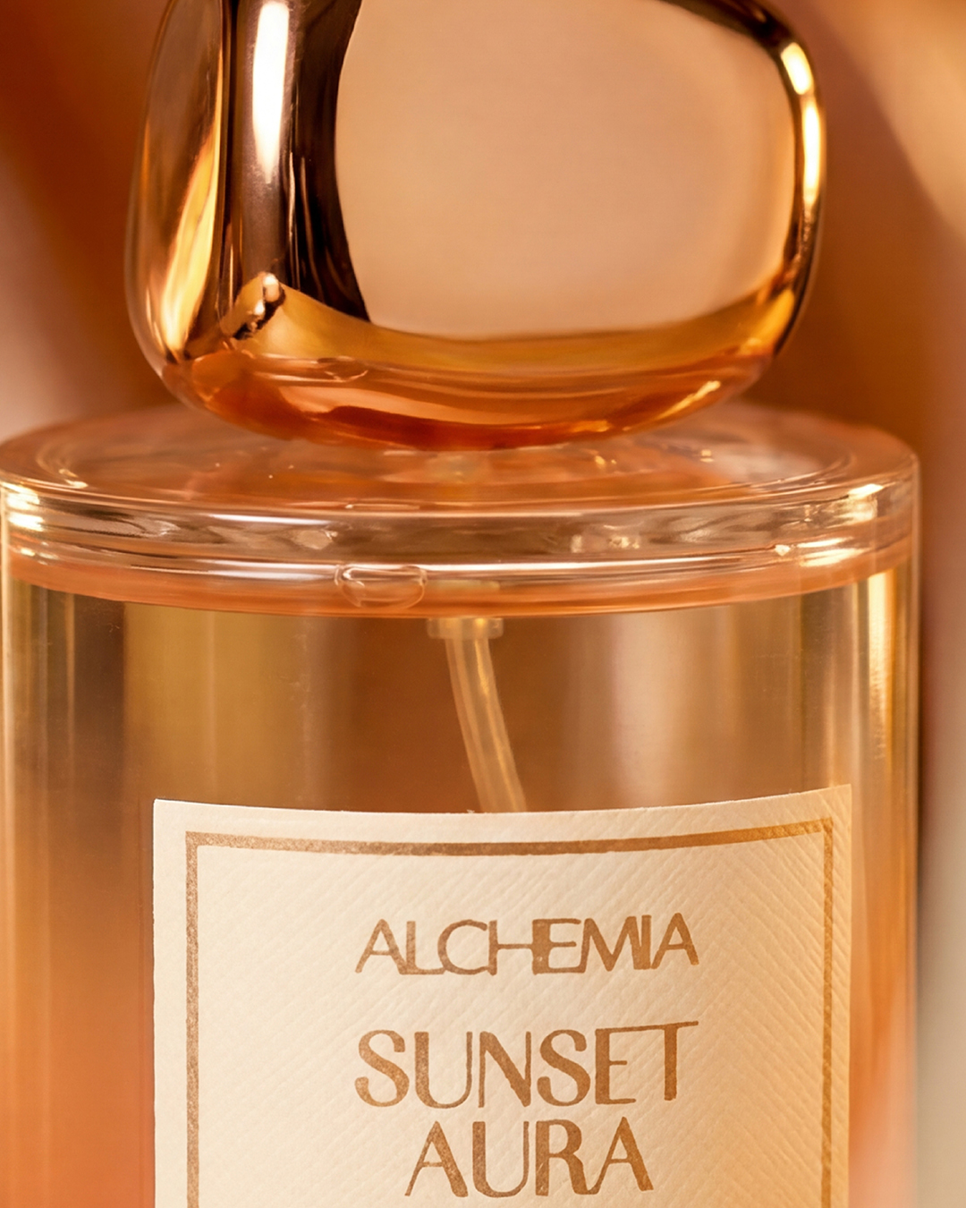 Alchemia, marca de beleza da Renner, lança sua primeira linha de perfumes SITE RENNER4