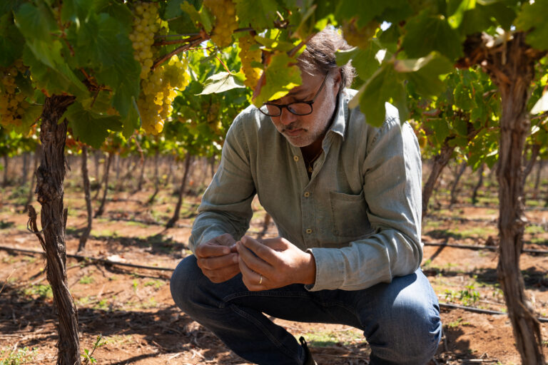 Viña Amelia aposta na especialização para explorar o potencial do Chardonnay e do Pinot Noir MP 03 1