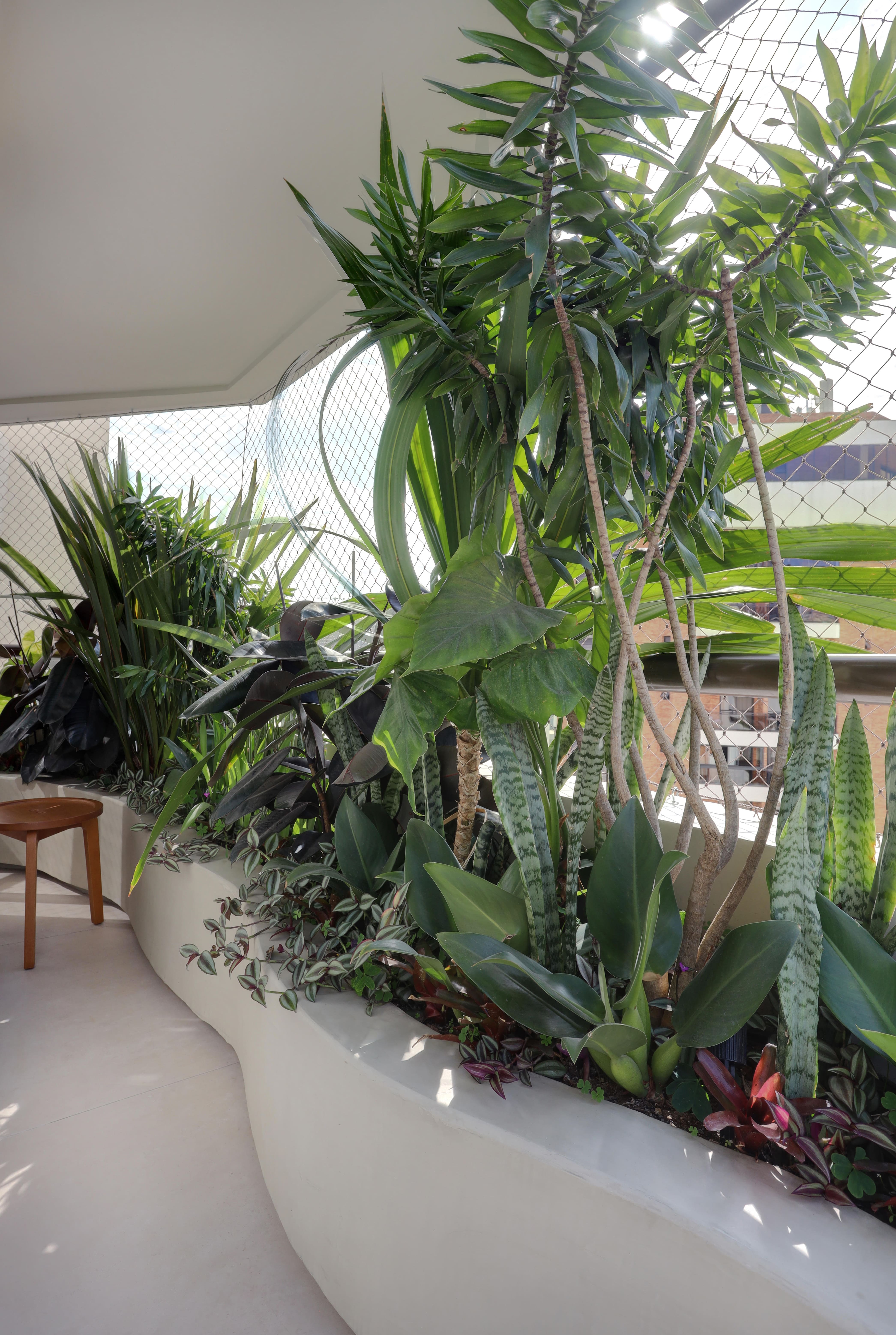 Sim, é possível cultivar jardim em apartamento! 10 inspirações para criar o seu Sim, é possível cultivar jardim em apartamento! 12 inspirações para criar o seu