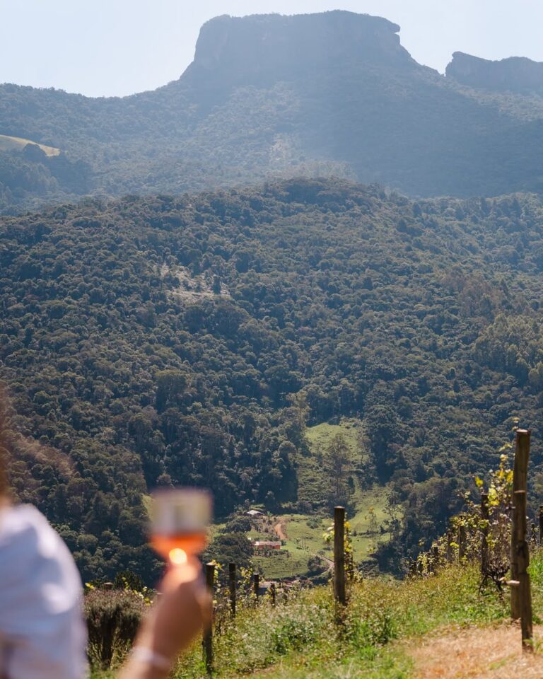 Roteiro de vinícolas na Mantiqueira: onde comer, beber e aproveitar o inverno Roteiro de vinícola