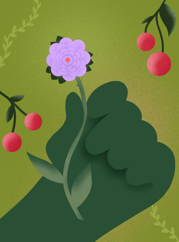 homem e jardingem