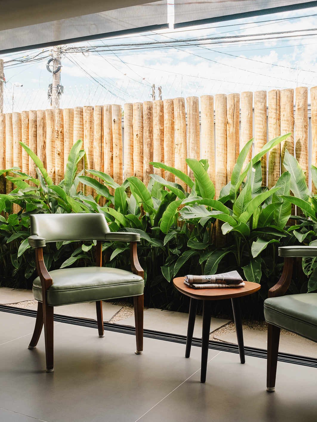 8 dicas para o jardim de casa sobreviver às mudanças no tempo