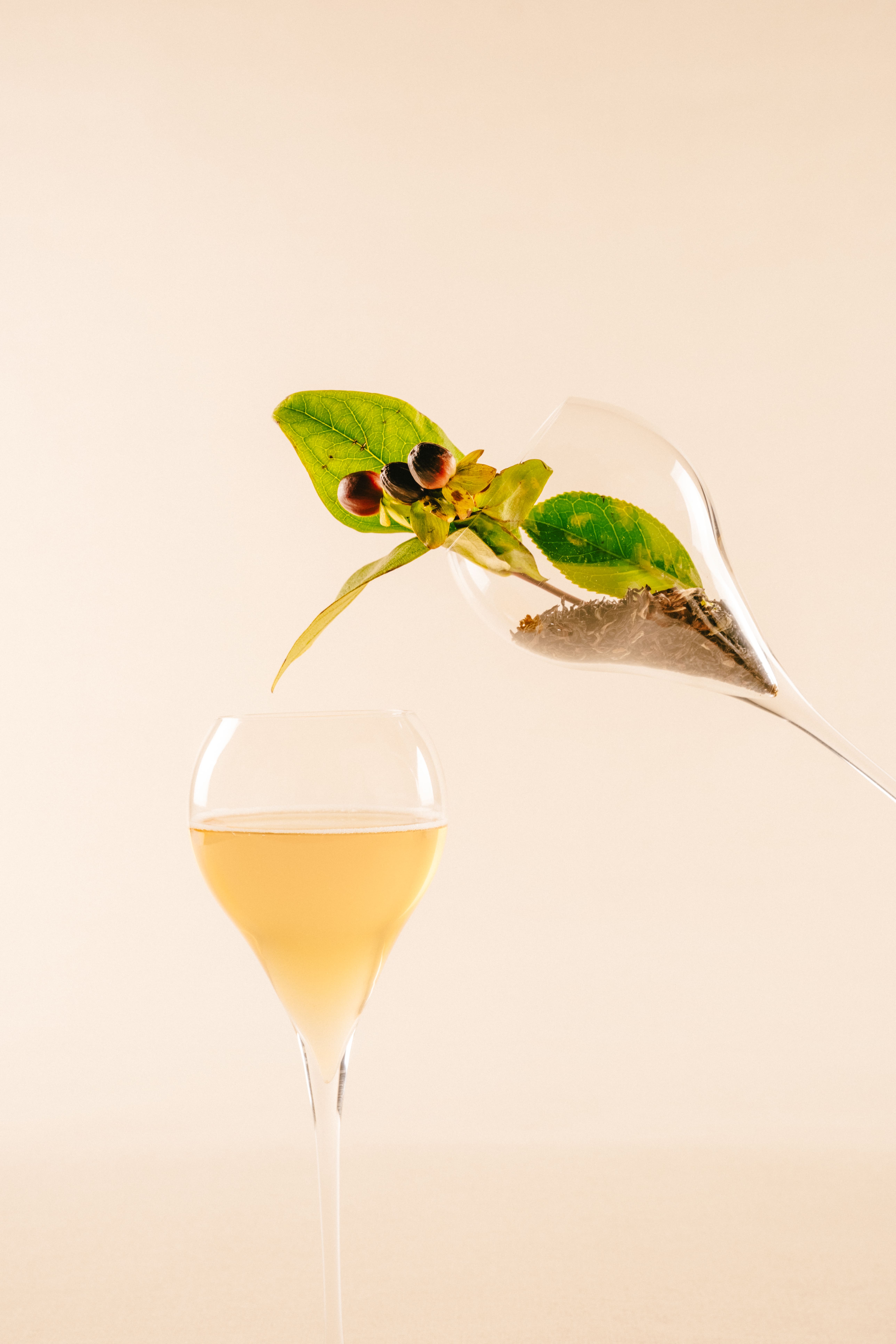 6 bebidas com baixo ou zero álcool para você conhecer e adicionar à carta de drinks 6 bebidas com baixo ou zero álcool para você conhecer e adicionar à carta de drinks