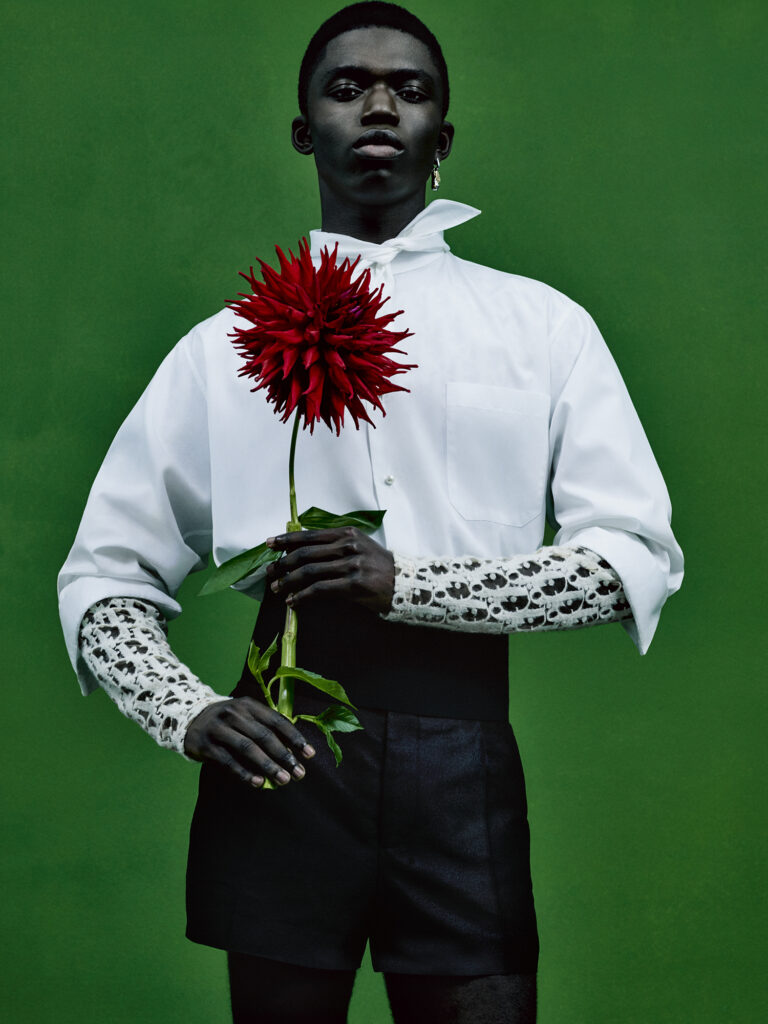 foto verde