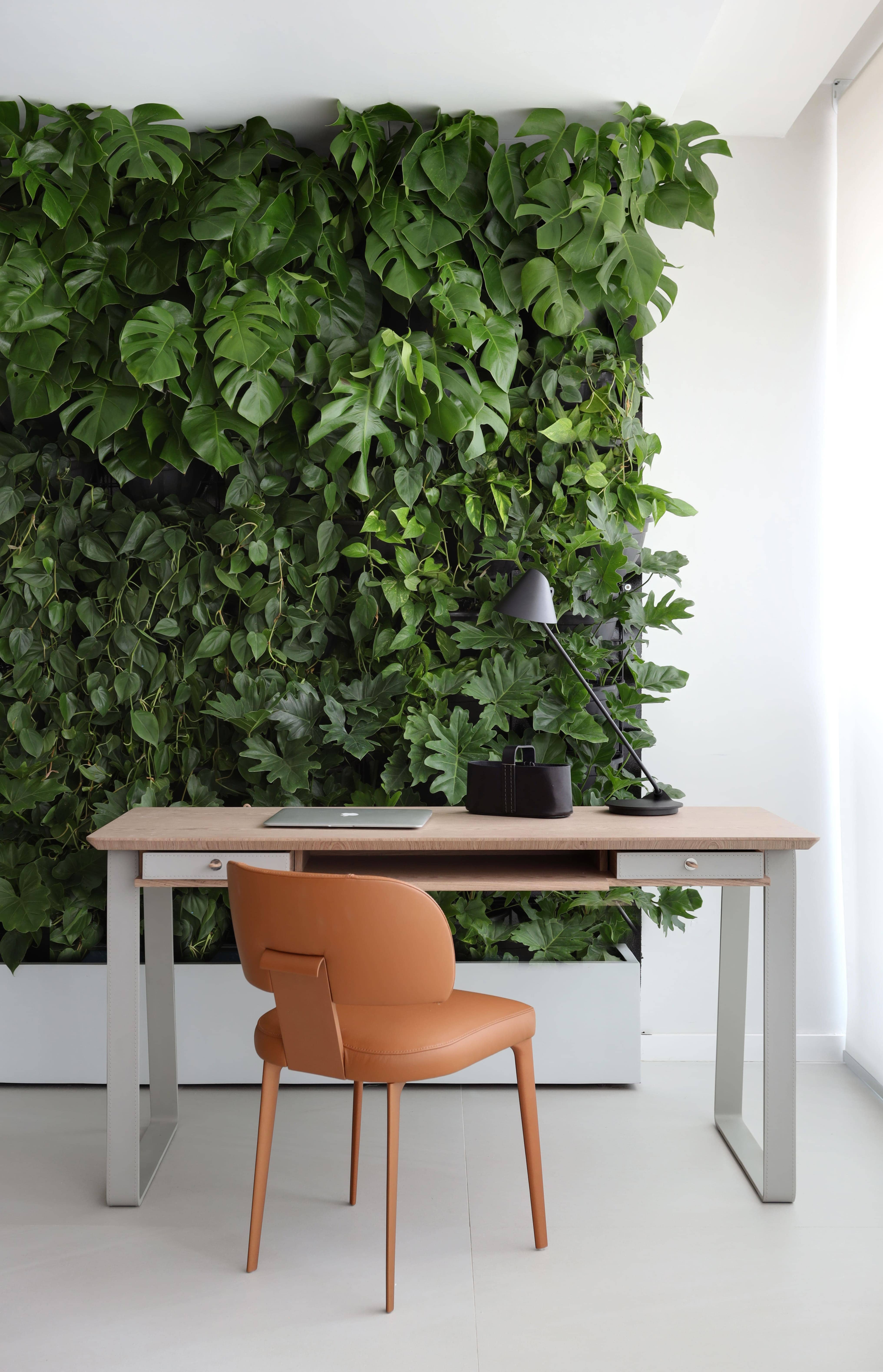 12 inspirações para criar seu próprio jardim vertical em casa